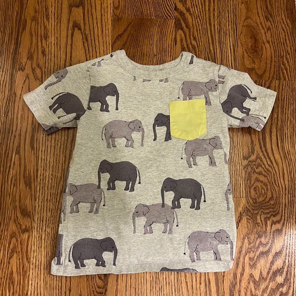 Boys tea collection tee shirt